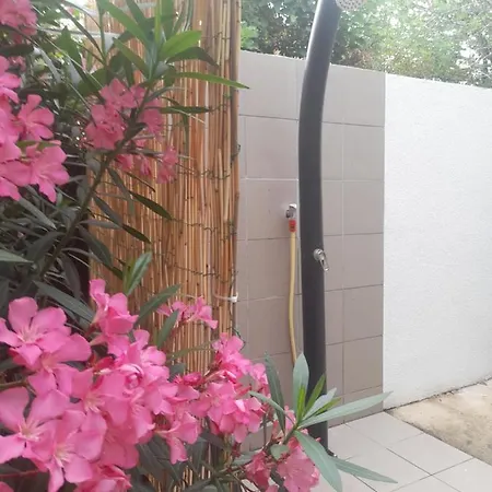 Apartament Mika